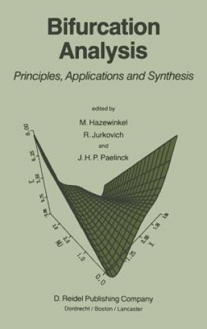Bifurcation Analysis