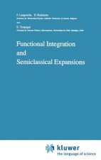 Functional Integration and Semiclassical Expansions