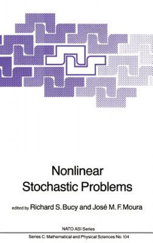 Nonlinear Stochastic Problems