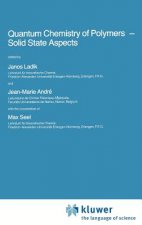 Quantum Chemistry of Polymers - Solid State Aspects