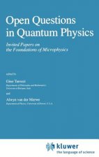 Open Questions in Quantum Physics