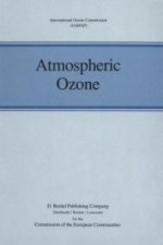 Atmospheric Ozone