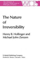 Nature of Irreversibility