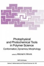 Photophysical and Photochemical Tools in Polymer Science