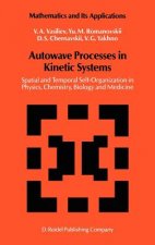 Autowave Processes in Kinetic Systems