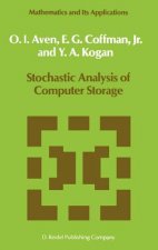 Stochastic Analysis of Computer Storage