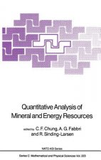 Quantitative Analysis of Mineral and Energy Resources