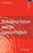 Turbulence Nature and the Inverse Problem