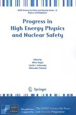 Progress in High Energy Physics and Nuclear Safety