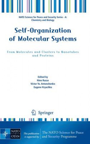 Self-Organization of Molecular Systems