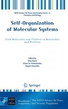 Self-Organization of Molecular Systems