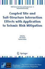 Coupled Site and Soil-Structure Interaction Effects with Application to Seismic Risk Mitigation