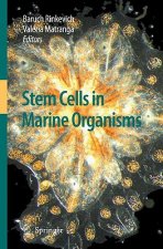 Stem Cells in Marine Organisms