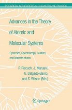 Advances in the Theory of Atomic and Molecular Systems
