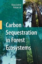 Carbon Sequestration in Forest Ecosystems