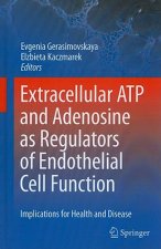 Extracellular ATP and adenosine as regulators of endothelial cell function