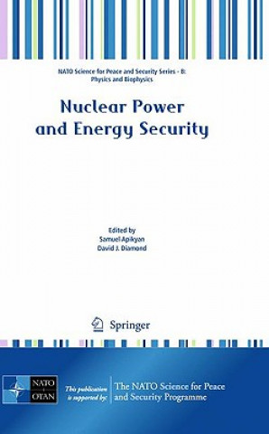 Nuclear Power and Energy Security