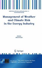 Management of Weather and Climate Risk in the Energy Industry