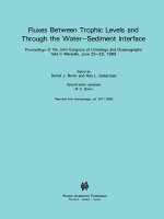 Fluxes between Trophic Levels and through the Water-Sediment Interface