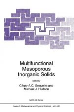 Multifunctional Mesoporous Inorganic Solids