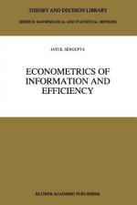 Econometrics of Information and Efficiency