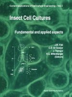 Insect Cell Cultures:
