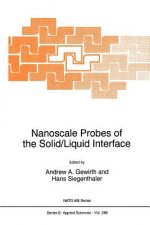 Nanoscale Probes of the Solid/Liquid Interface