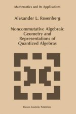 Noncommutative Algebraic Geometry and Representations of Quantized Algebras