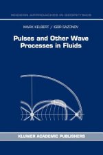Pulses and Other Wave Processes in Fluids