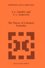 The Theory of Cubature Formulas
