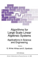 Algorithms for Large Scale Linear Algebraic Systems: