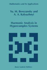 Harmonic Analysis in Hypercomplex Systems