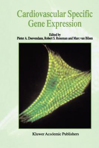 Cardiovascular Specific Gene Expression