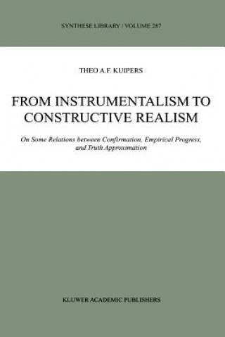 From Instrumentalism to Constructive Realism