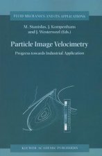 Particle Image Velocimetry