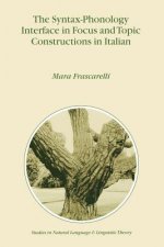 Syntax-Phonology Interface in Focus and Topic Constructions in Italian