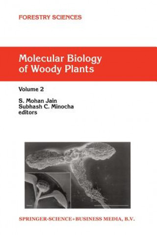 Molecular Biology of Woody Plants (S. Mohan Jain,S.C. Minocha)()