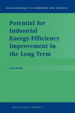 Potential for Industrial Energy-Efficiency Improvement in the Long Term