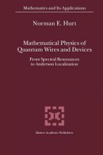 Mathematical Physics of Quantum Wires and Devices