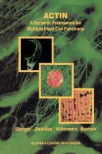 Actin: A Dynamic Framework for Multiple Plant Cell Functions