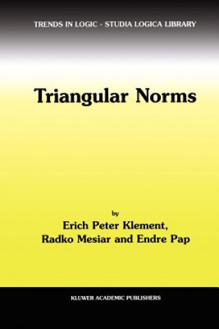 Triangular Norms