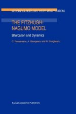The FitzHugh-Nagumo Model