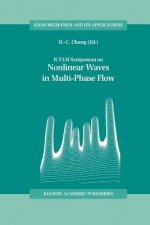 IUTAM Symposium on Nonlinear Waves in Multi-Phase Flow