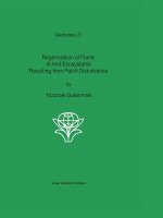 Regeneration of Plants in Arid Ecosystems Resulting from Patch Disturbance