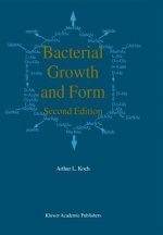 Bacterial Growth and Form