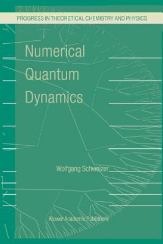 Numerical Quantum Dynamics