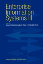 Enterprise Information Systems III