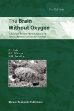 Brain Without Oxygen