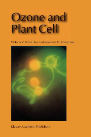 Ozone and Plant Cell