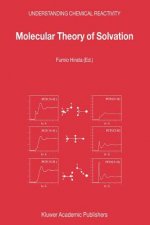 Molecular Theory of Solvation